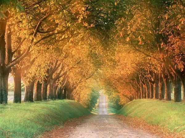 Image Dimension: 600x450 :: Photos: Trust me its Real Photos: Trust me its Real