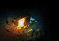 [image13.png]