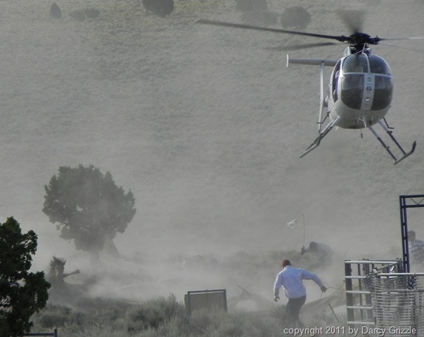 [TripleBSat8.27.2011horsedownattrapsi%255B2%255D.jpg]