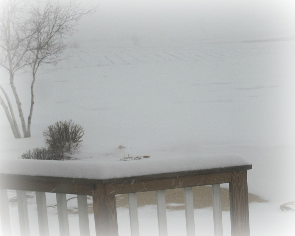 [snowy%2520deck%255B4%255D.jpg]