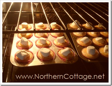 cupcakes @ NorthernCottage.net