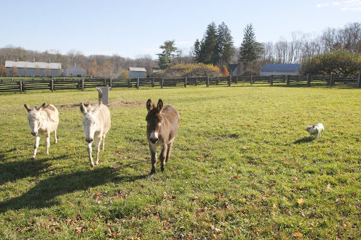 Are you sticking with Billie and Clive?  Safety in numbers!