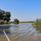 DSCN9347.JPG