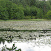 Kunžak 2011
