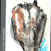 ostrichetta 4 2008 (12x16 cm).jpg