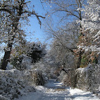 2011-12-20 (12).jpg