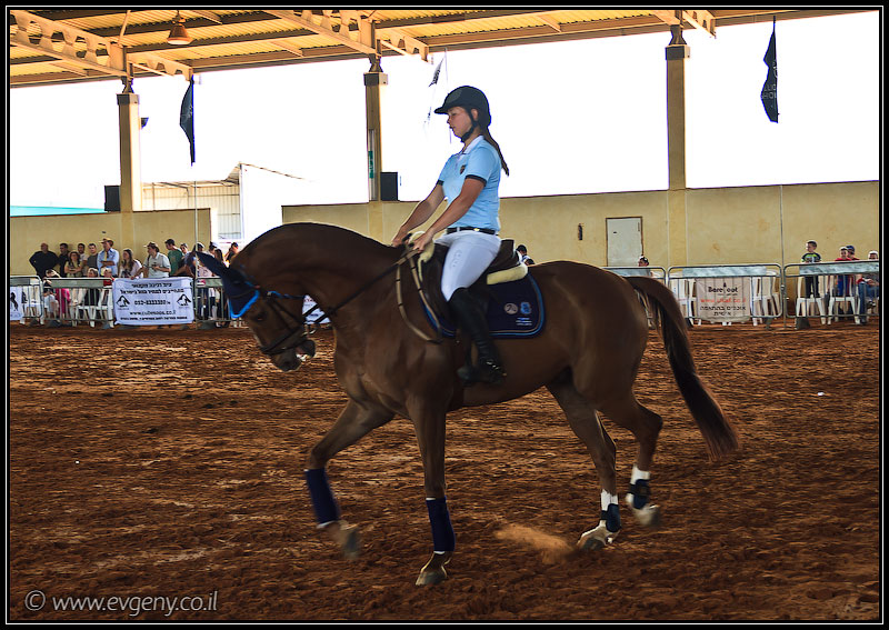 il/Фото: Stallion Show 2011 (20110416 stllion show 007 1994)