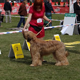 Abi - DSC05328.JPG