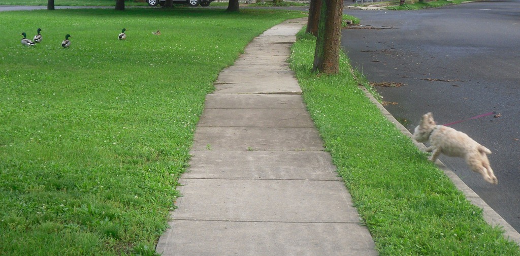 [SDC10020%255B3%255D.jpg]