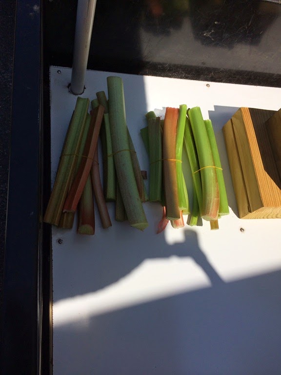 [photo%25204%2520%25282%2529%255B3%255D.jpg]