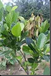 IMG_4877 IMG_4877