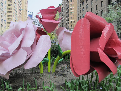 New Yorkers and tourists were constantly stopping to admire them.