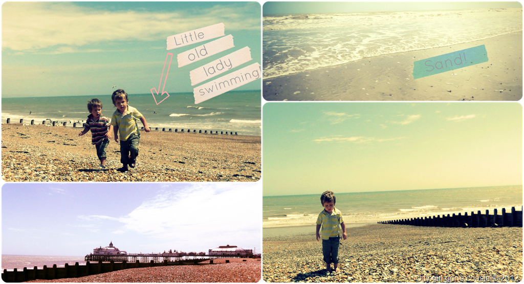 [PicMonkey%2520Collage%255B2%255D.png]