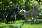 DSC_0212.JPG
