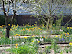 Mt Vernon in Spring