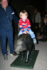 Naturhistoriska museet höstlovet 2010