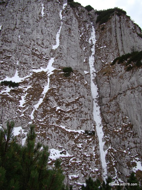 cioranga ramura de sus-38.JPG