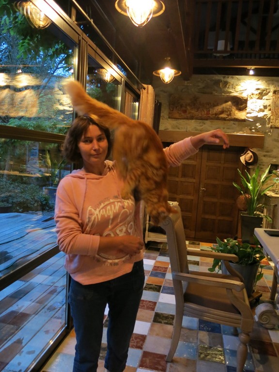 [IMG_2397%255B4%255D.jpg]