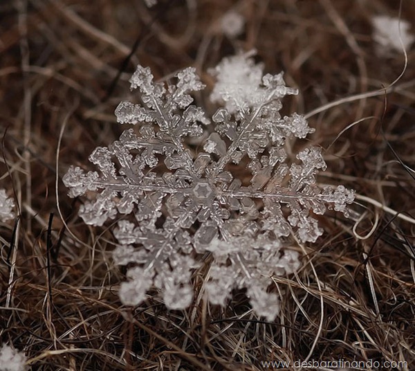 flocos-de-neve-macro-snowflakes-macro-photography-andrew-osokin-desbaratinando (13)