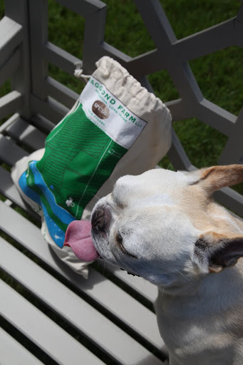 The bag has bocce balls?  Great!  Let's play.
