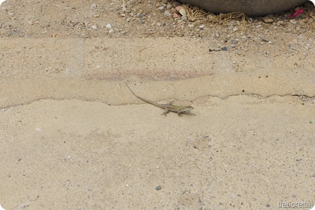 DSC00051 DSC00051