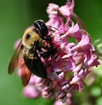 DSC_1742.JPG