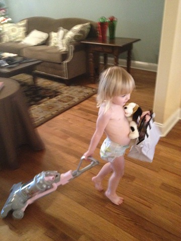 [vetvacuuming2.jpg]