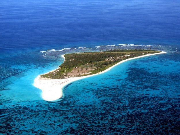 Bird Island Seychelles
