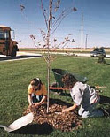 Photo courtesy: Alliant Energy Photo courtesy: Alliant Energy