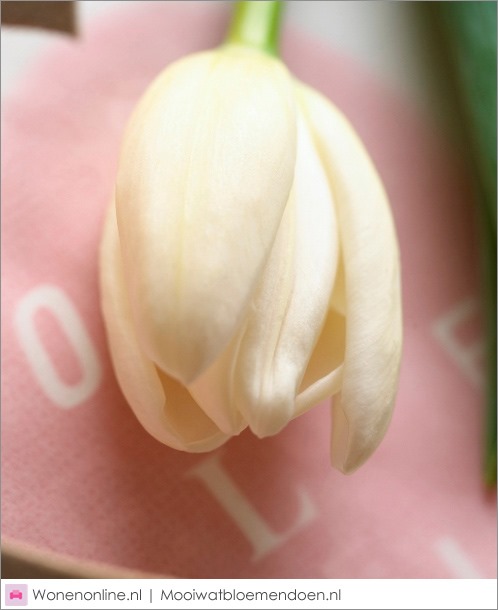 [valentijnsdag-zeg-het-met-tulpen-1%255B2%255D.jpg]