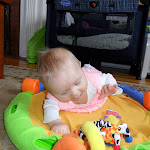 SAM_0878.JPG
