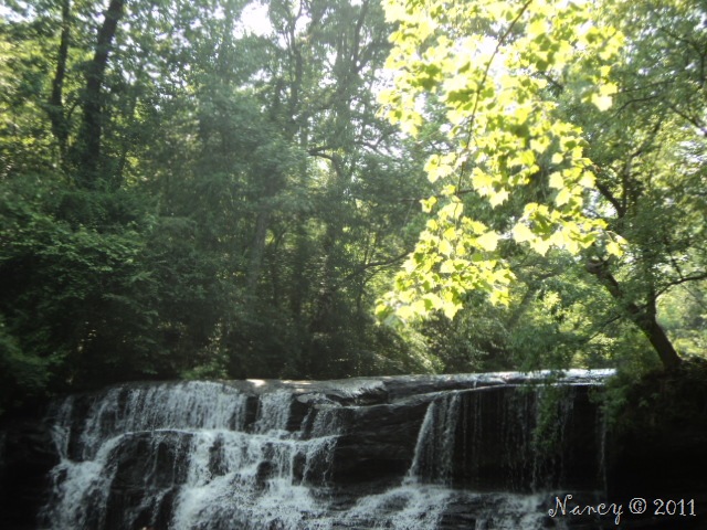 [DSC0263011.jpg]