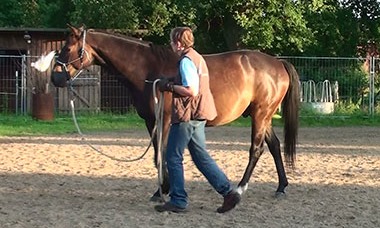 [20130704201741-%25283%2529%255B3%255D.jpg]