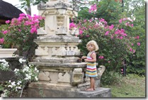IMG_1790 IMG_1790