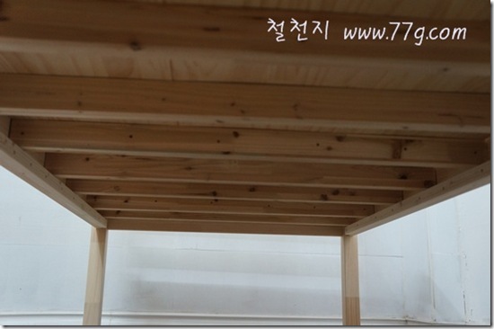 철천지DSC08535-20120821-152610 철천지DSC08535-20120821-152610