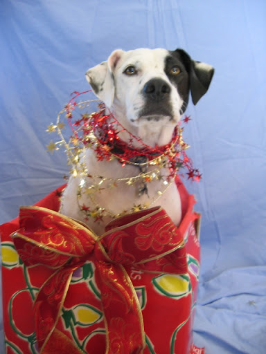 Don't you agree present Petey?
