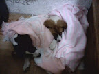JULEN Y KITZIA profundamente dormidos