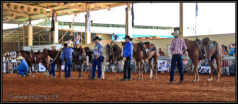 il/Фото: Stallion Show 2011 (20110416 stllion show 079 2348)