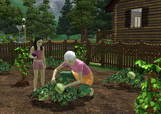 [HiddenSprings11%255B4%255D.jpg]