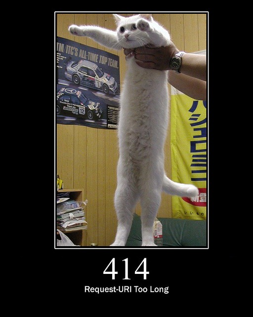 [HTTP-Status-Cats-12%255B2%255D.jpg]
