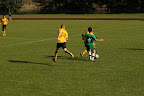 FSV Schwenningen Bezirksliga 2010 286.jpg