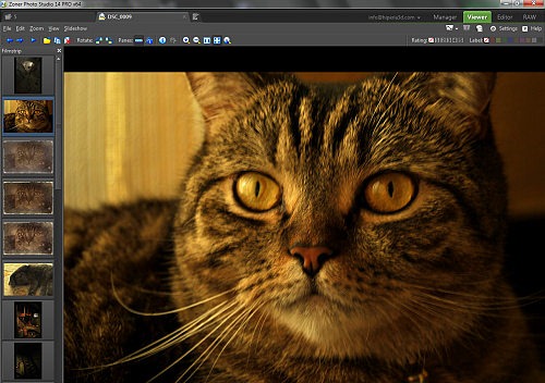 [zoner-photo-studio-filmstrip6.jpg]