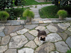 Perhaps I should make a move and attack!  But, that would just be so easy.
