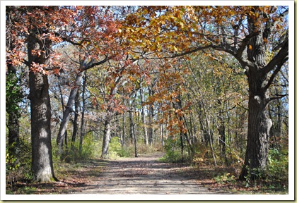 Trees