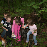 Geocaching Sanders Preserve 1 - IMG_4417.JPG