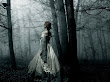 In The Forest