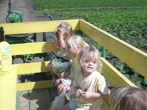 On the way back from the farm!