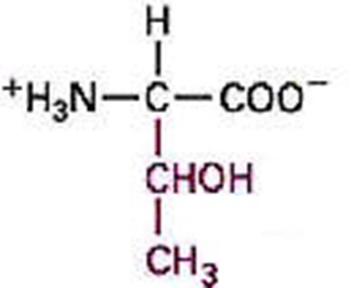 Threonine