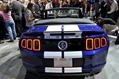 Shelby-Caroll-11