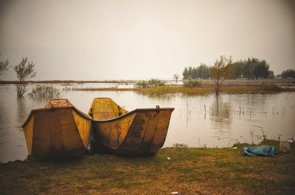 [DSC06845%255B7%255D.jpg]